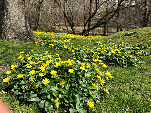 Golf Course «Maple Moor Golf Course», reviews and photos, 1128 North St, White Plains, NY 10605, USA