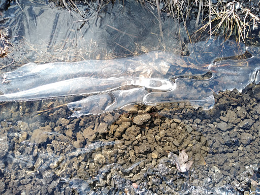 Ski Resort «Shawnee Mountain Ski Area», reviews and photos, 401 Hollow Rd, East Stroudsburg, PA 18301, USA