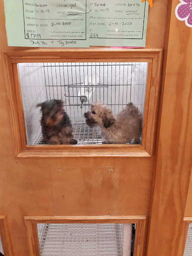 Pet Store «Pet Luv Pet Center», reviews and photos, 8057 S Cicero Ave, Chicago, IL 60652, USA