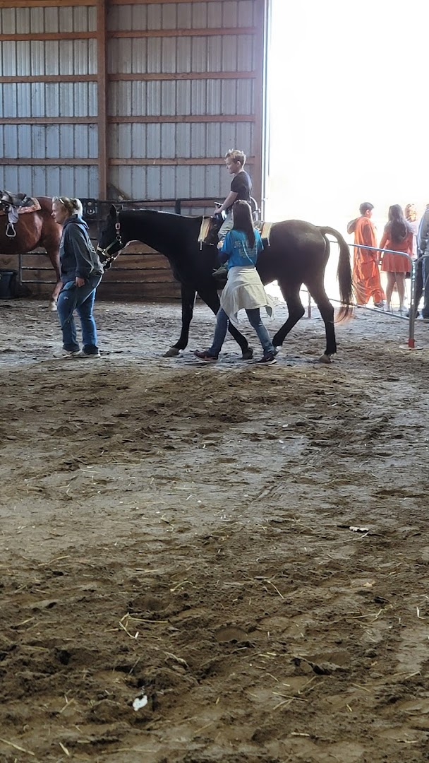 Day Dreams Farm Equine Rescue and Rehabilitation