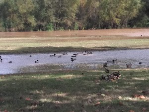 Charles and Marie Hamel Memorial Park - photo 14