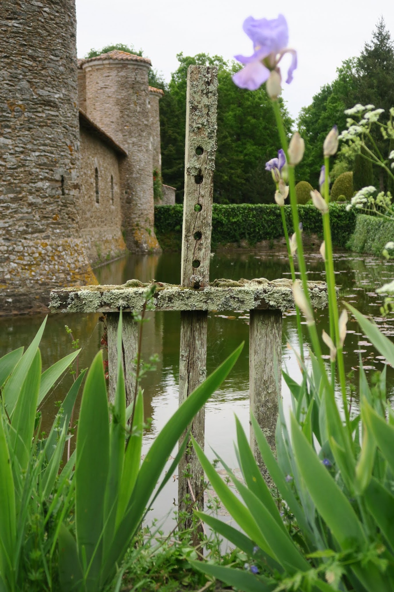 Photo n° 17 de l'avis de L-A. fait le 13/05/2019 à 13:35