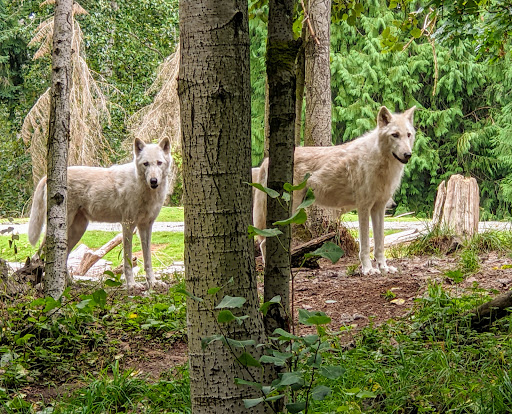 Zoo «Woodland Park Zoo», reviews and photos, 5500 Phinney Ave N, Seattle, WA 98103, USA