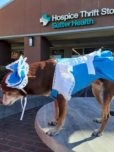 Sutter Care at Home Thrift Store, 6350 Commerce Blvd, Rohnert Park, CA 94928, USA, 