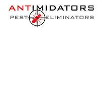 Antimidators Inc. Pest Control and Wildlife Removal - Photo 6 - Car repair in Naples, FL, Bonita Springs