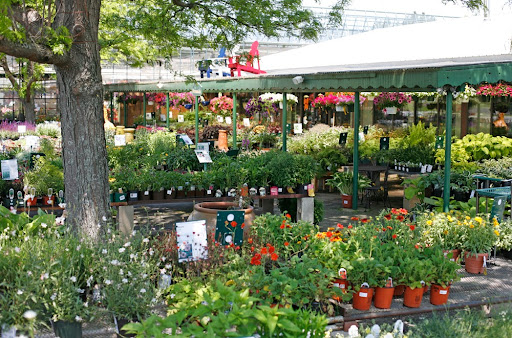 Mahoney's Garden Centers