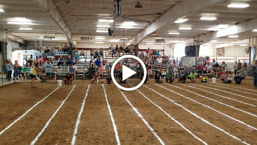 Colonel Dick's Flea Market