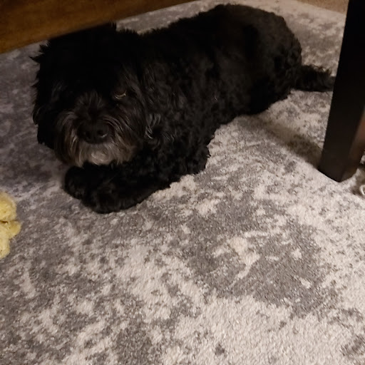 Pet Supply Store «Pet Supplies Plus», reviews and photos, 702 W Northland Ave, Appleton, WI 54914, USA