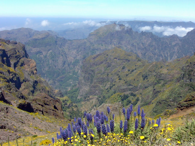 Madeira-Island-Tours Horário de abertura