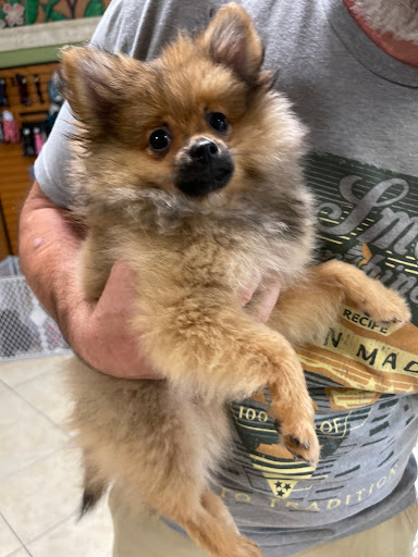 Pet Supply Store «Lil Rascals», reviews and photos, 10035 Gulf Center Dr #105, Fort Myers, FL 33913, USA