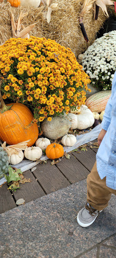 Park «Burnett Park», reviews and photos, 501 W 7th St, Fort Worth, TX 76102, USA