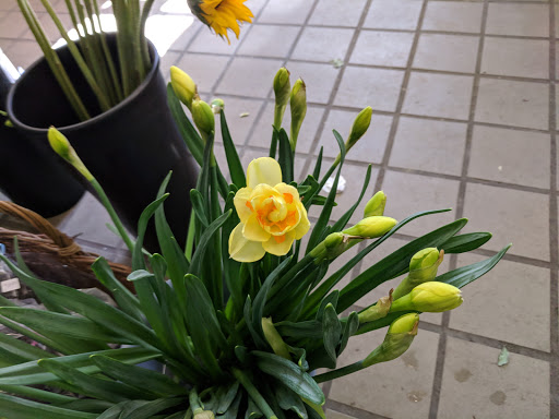 Florist «City Gardens Flower Shop», reviews and photos, 284 Wickenden St, Providence, RI 02903, USA