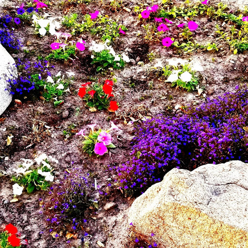 Supermarket «Save Mart Supermarkets», reviews and photos, 715 W Grangeville Blvd, Hanford, CA 93230, USA