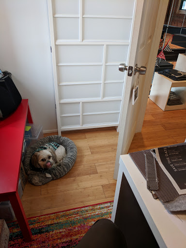 Boutique «Peppermint», reviews and photos, 145 Culver Rd, Rochester, NY 14620, USA