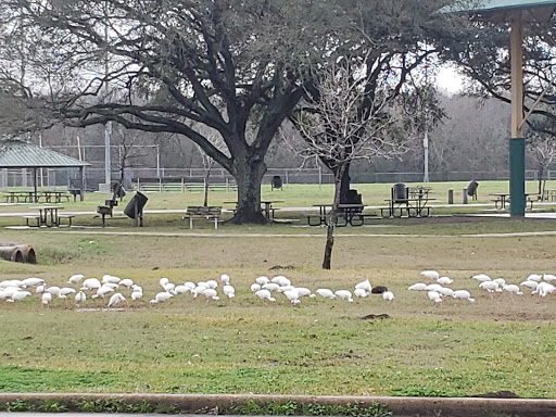 Community Center «Sunnyside Community Center», reviews and photos, 3502 Bellfort St, Houston, TX 77051, USA