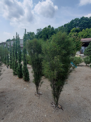 Garden Center «Holscher & Hackman Garden Center», reviews and photos, 6088 Harrison Ave, Cincinnati, OH 45247, USA