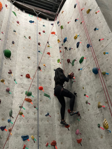 Physical Fitness Program «City Climb Gym», reviews and photos, 342 Winchester Ave, New Haven, CT 06511, USA