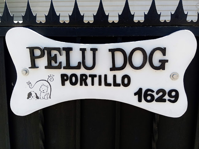 Opiniones de PeluDog peluquería y hospedaje canino en Los Andes - Peluquería