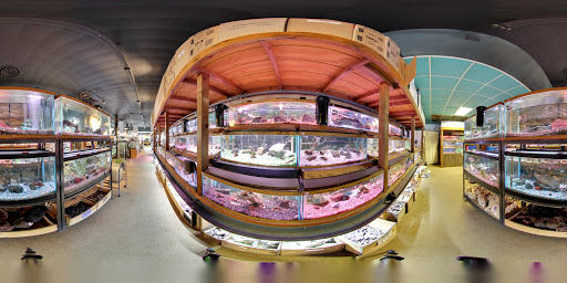 Pet Store «Aqualand Aquarium Center», reviews and photos, 5355 Chicago Ave, Minneapolis, MN 55417, USA