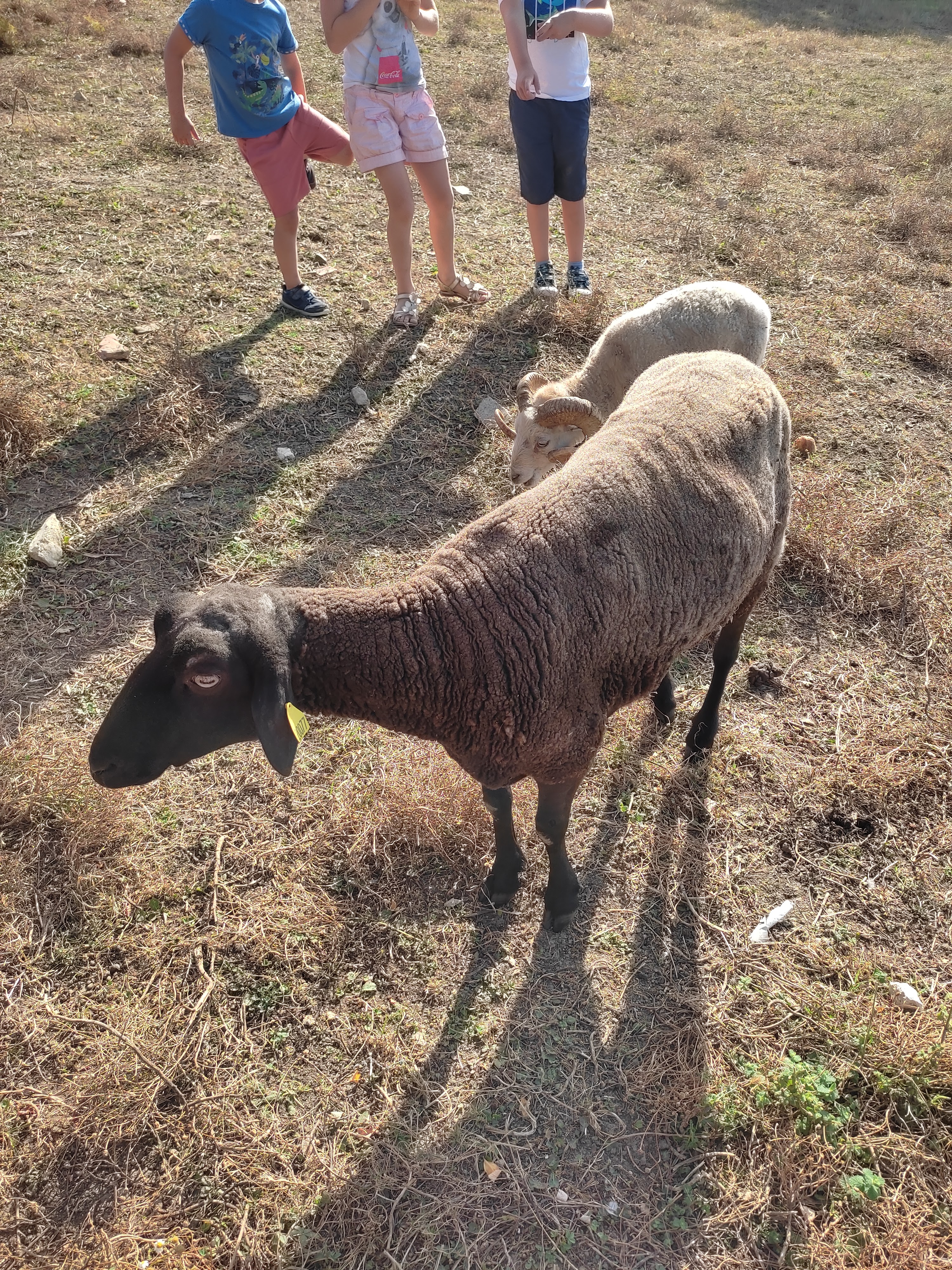 Photo n° 7 de l'avis de Alicia.o fait le 18/08/2023 à 16:55
