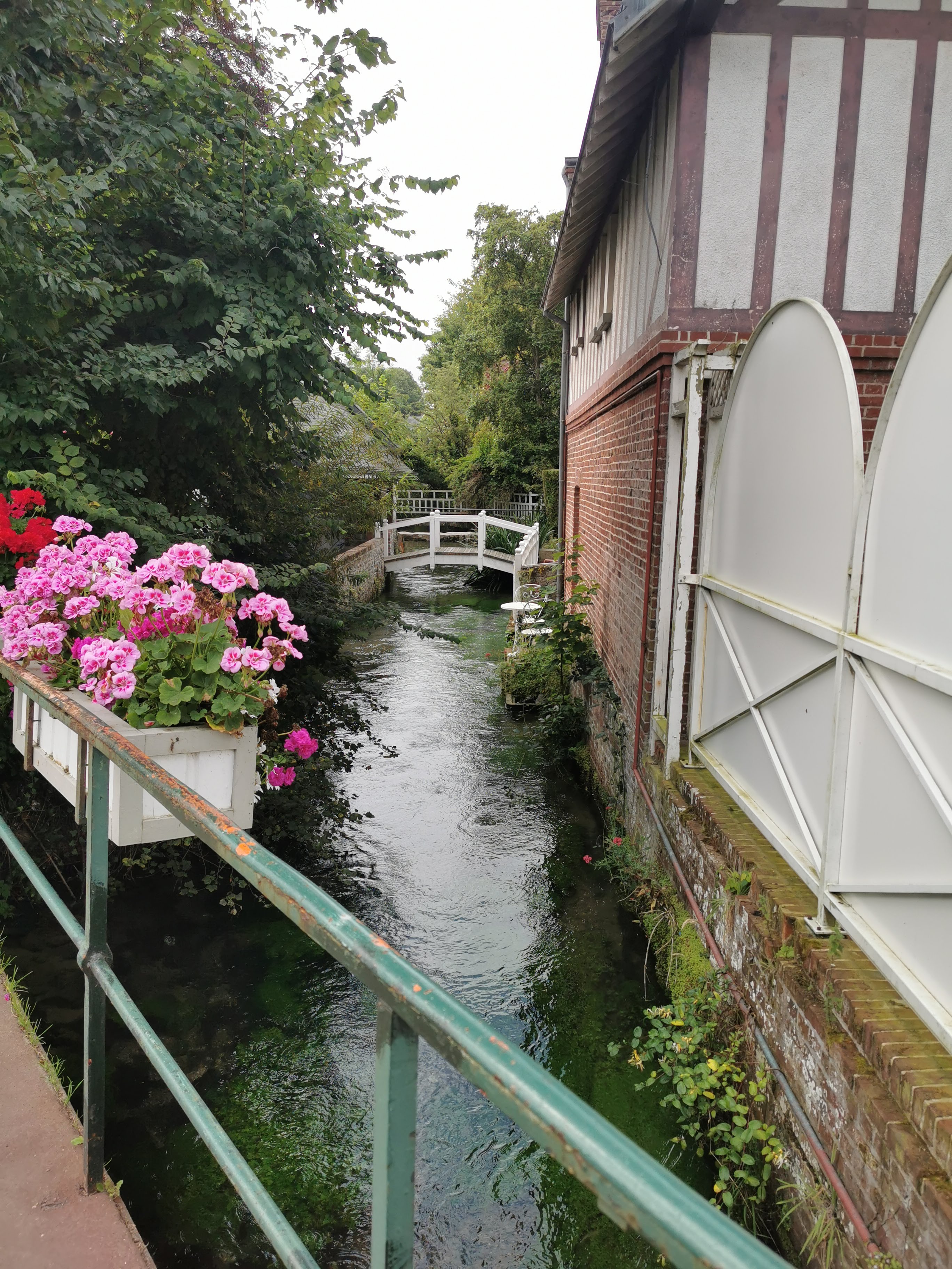 Photo n° 4 de l'avis de Mari.. fait le 31/08/2021 à 16:08