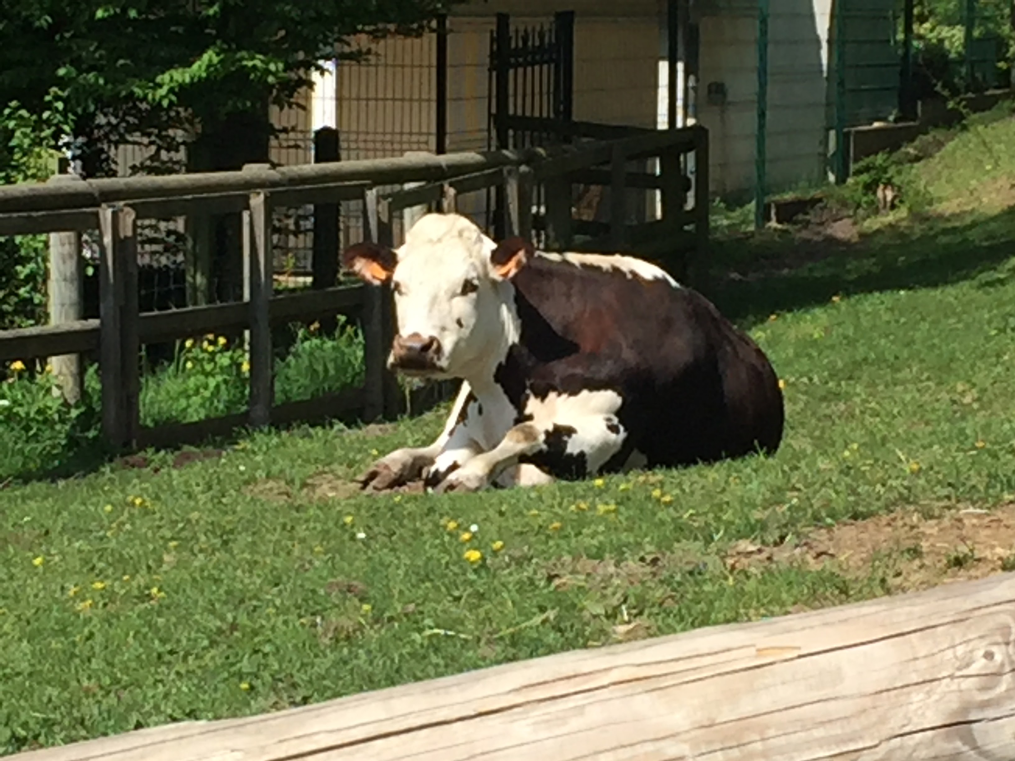 Photo n° 3 de l'avis de lou.o fait le 21/04/2018 à 14:21
