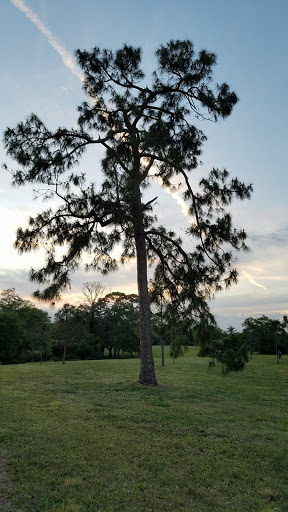 Nature Preserve «Pine Island Ridge Natural Area», reviews and photos, 3900 SW 100th Ave, Davie, FL 33328, USA