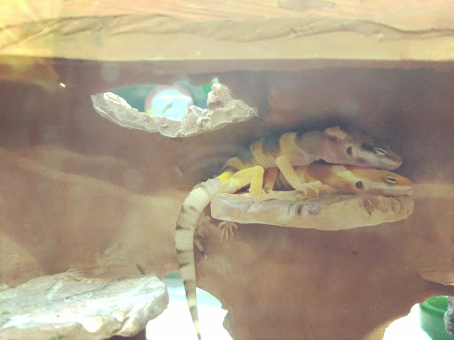 Pet Supply Store «Petco Animal Supplies», reviews and photos, 891 NE D St, Grants Pass, OR 97526, USA