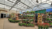 Green Thumb Nursery - Lake Forest - Photo 6 - Car repair in Lake Forest, CA, Mission Viejo