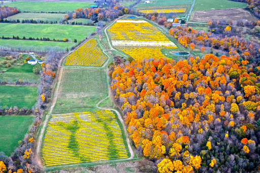 Winery «Treleaven Wines», reviews and photos, 658 Lake Rd, King Ferry, NY 13081, USA