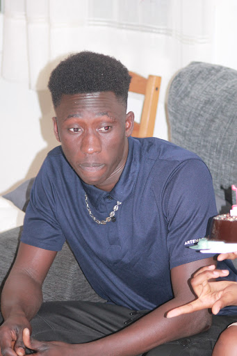 D Animals - Tàrrega