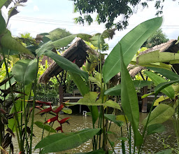 Bebek d'Ubud Restaurant photo