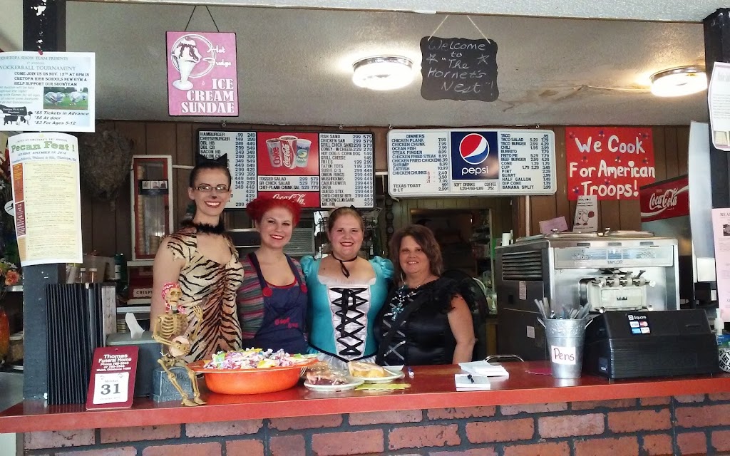 The Hornet’s Nest 67336