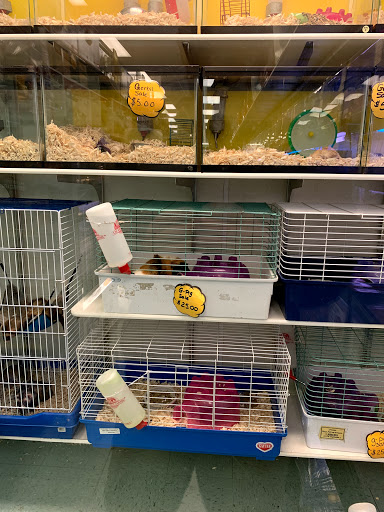 Pet Store «Petland Discounts - Derby», reviews and photos, 49 State Rte 727 # 12, Derby, CT 06418, USA