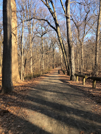 Forest Park Hiking Trails