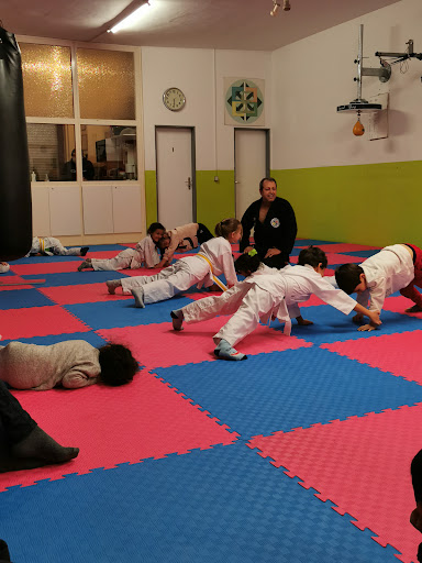 Kampfkunstschule Shimjun