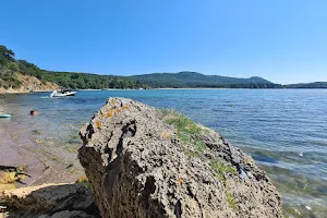 Small Shady Quiet Beach image