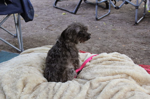 Park «Baker Park Reserve», reviews and photos, 2309 Baker Park Rd, Maple Plain, MN 55359, USA