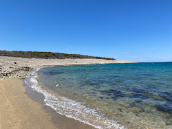 Photo de Povljana Naturist Beach situé dans une zone naturelle