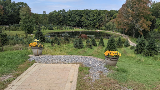 Outdoor Sports Store «Maple Hill Disc Golf», reviews and photos, 132 Marshall St, Leicester, MA 01524, USA