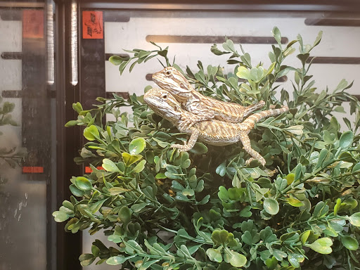 Pet Supply Store «Pet Supplies Plus», reviews and photos, 120 Sara Way, Belle Vernon, PA 15012, USA