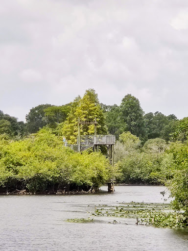 Park «Lettuce Lake Park», reviews and photos, 6920 E Fletcher Ave, Tampa, FL 33637, USA