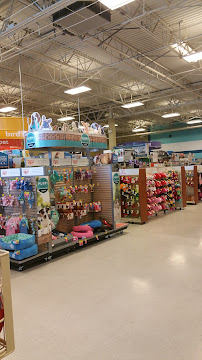 PetSmart - Photo 3 - Car repair in Philadelphia, PA, Philadelphia