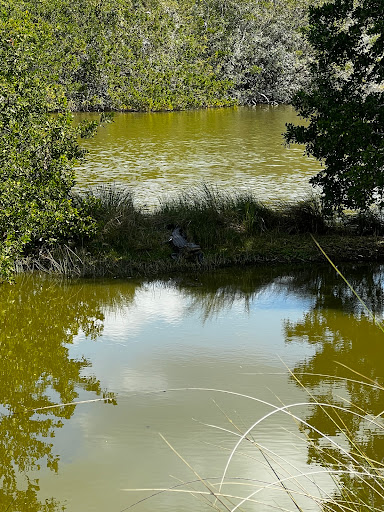 Golf Club «Raptor Bay Golf Club», reviews and photos, 23001 Coconut Point Resort Dr, Estero, FL 33928, USA