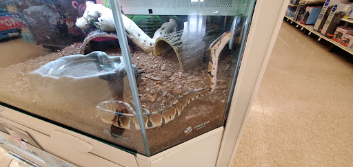 Pet Supply Store «PetSmart», reviews and photos, 156 Old Little Britain Rd, Newburgh, NY 12550, USA