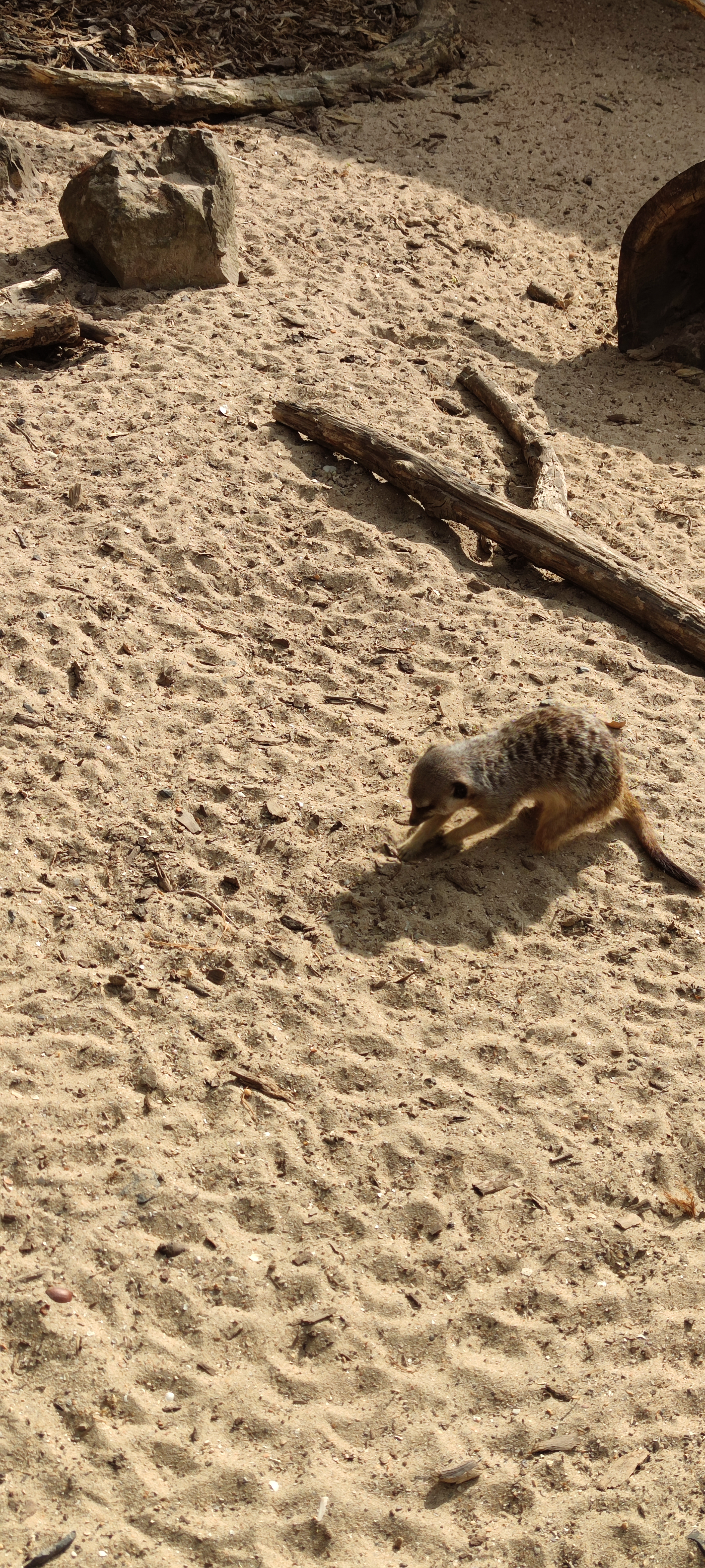 Photo n° 9 de l'avis de Magalie.o fait le 24/07/2021 à 15:03