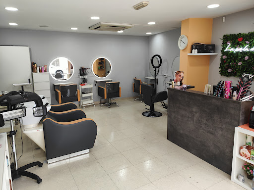 laPelu de laNoe en Sils, Girona