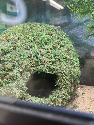 Pet Supply Store «Coastline Pet Supply», reviews and photos, 3530 Northgate Dr, Myrtle Beach, SC 29588, USA