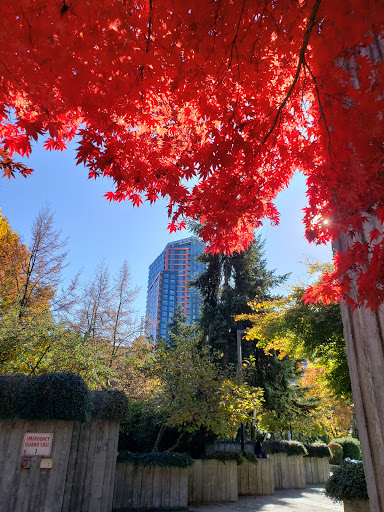 Park «Freeway Park - Jim Ellis Freeway Park», reviews and photos, 700 Seneca St, Seattle, WA 98101, USA