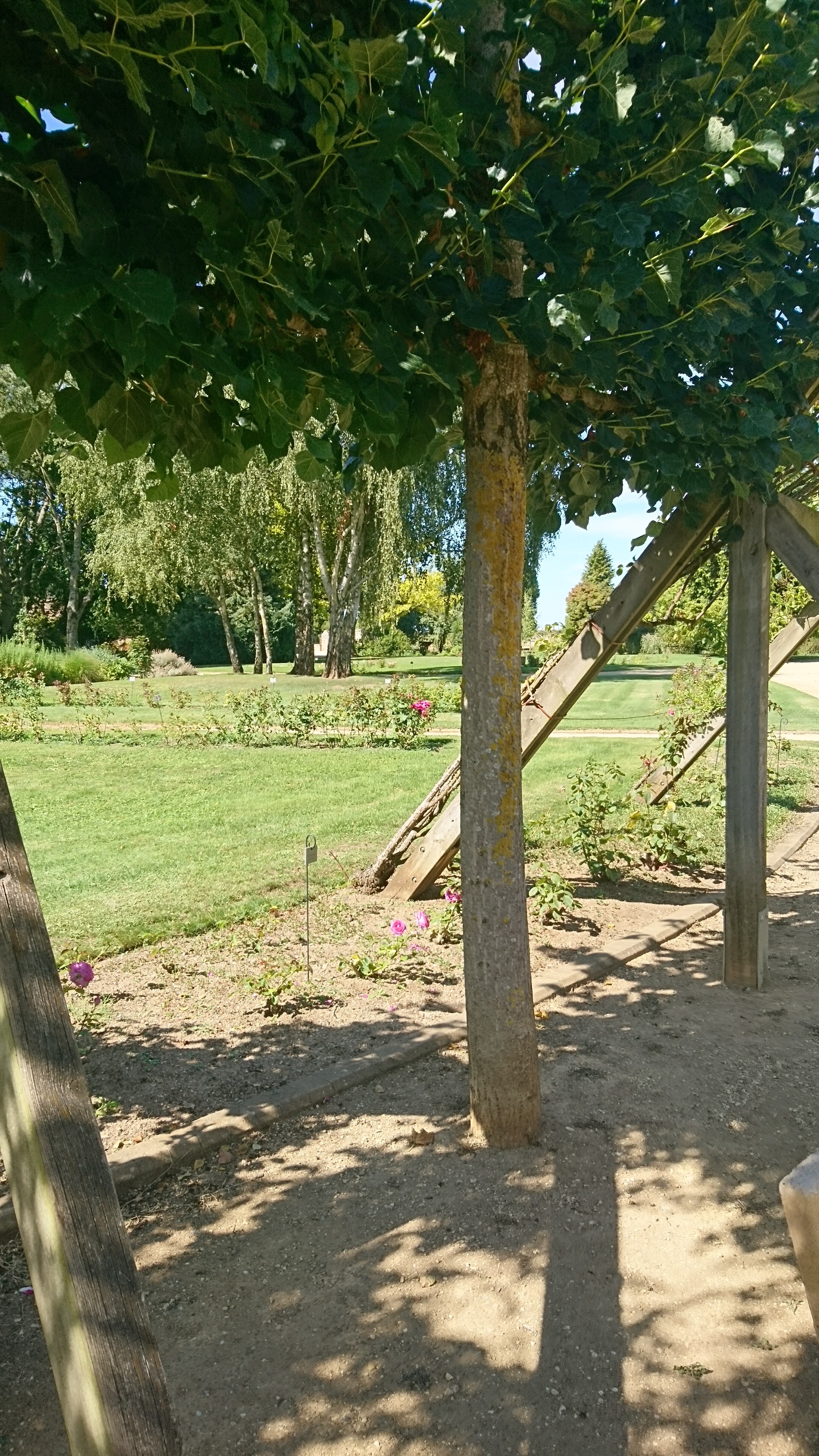 Photo n° 4 de l'avis de david.o fait le 23/08/2019 à 15:25